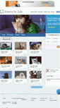 Mobile Screenshot of kittensforsale.com