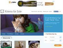 Tablet Screenshot of kittensforsale.com